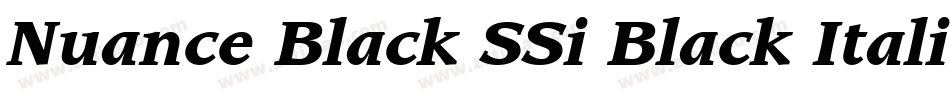 Nuance Black SSi Black Italic字体转换